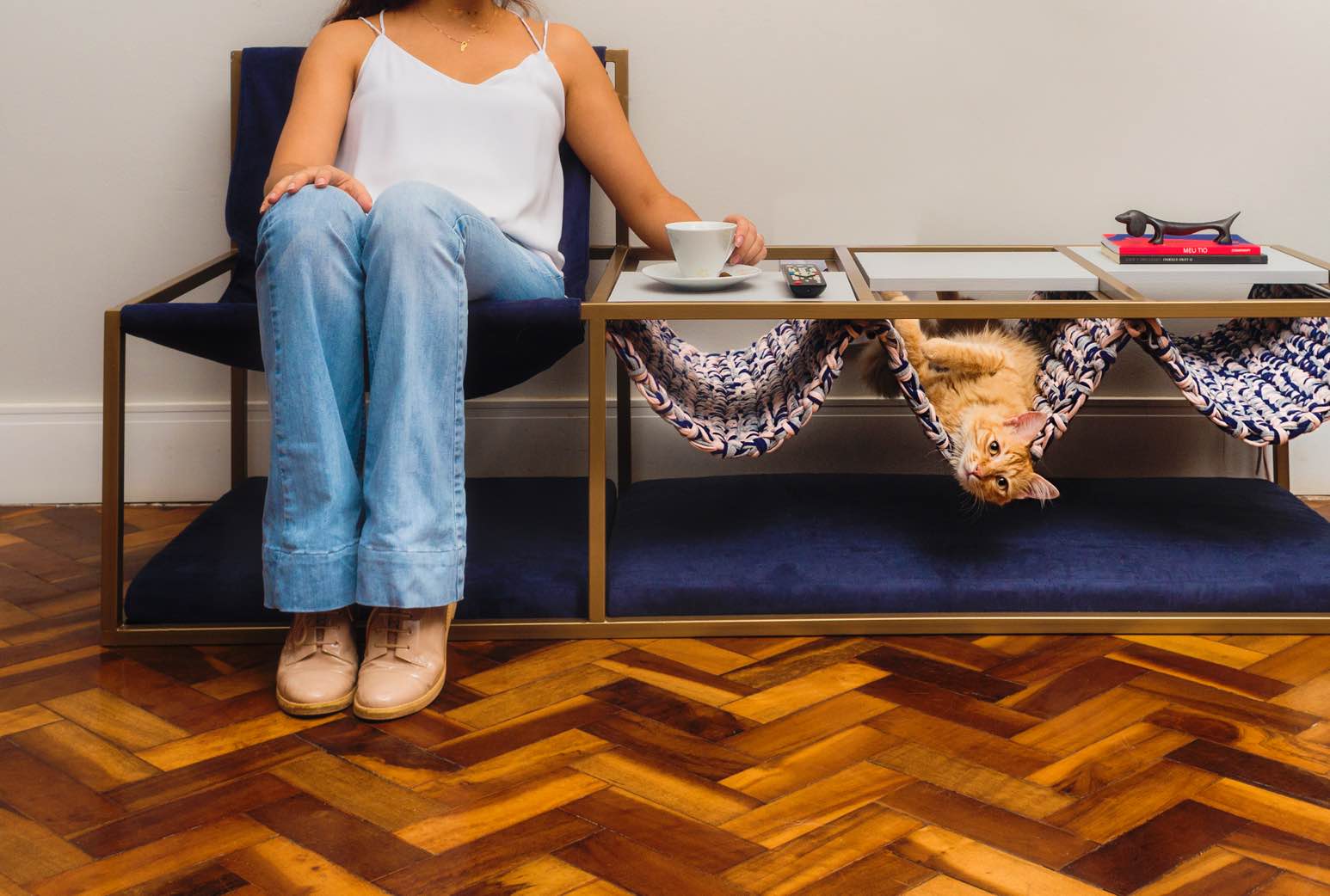 móveis pet-friendly